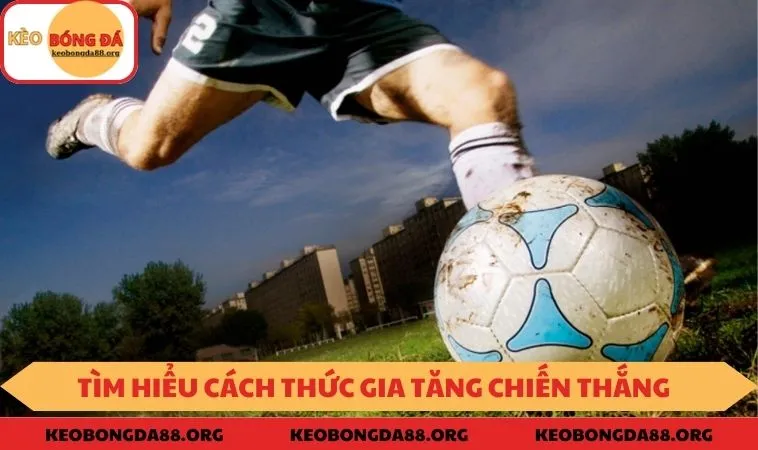 Chiến lược hiệu quả cho newbie
